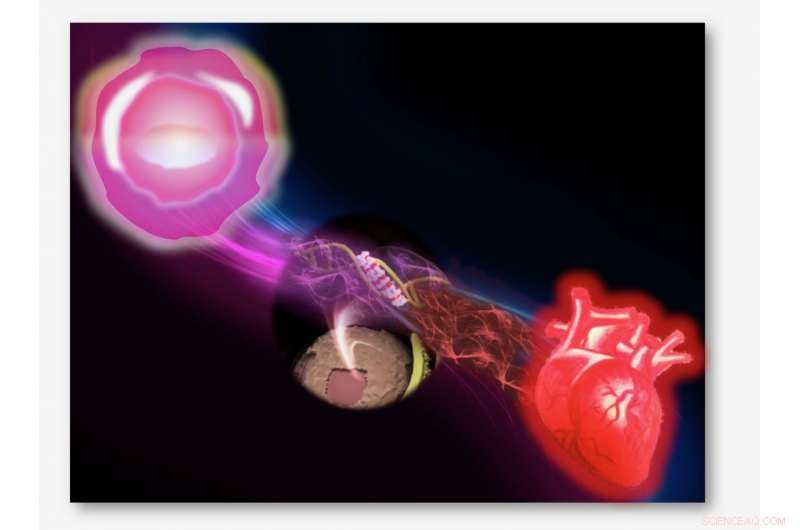 Gene-Targeting Molecules: A Breakthrough in Tissue Regeneration