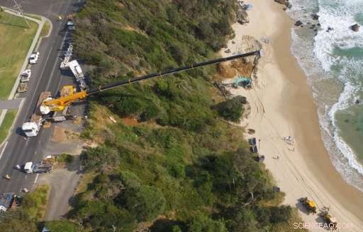 Humpback Whale Remains Removed from Australian Beach Amid Shark Safety Concerns