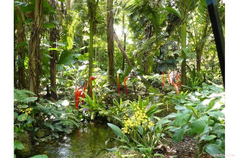 Botanic Gardens Safeguard One-Third of All Plant Species and Protect the Most Threatened