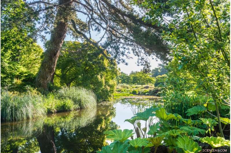 Botanic Gardens Safeguard One-Third of All Plant Species and Protect the Most Threatened