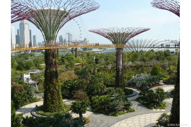 Botanic Gardens Safeguard One-Third of All Plant Species and Protect the Most Threatened