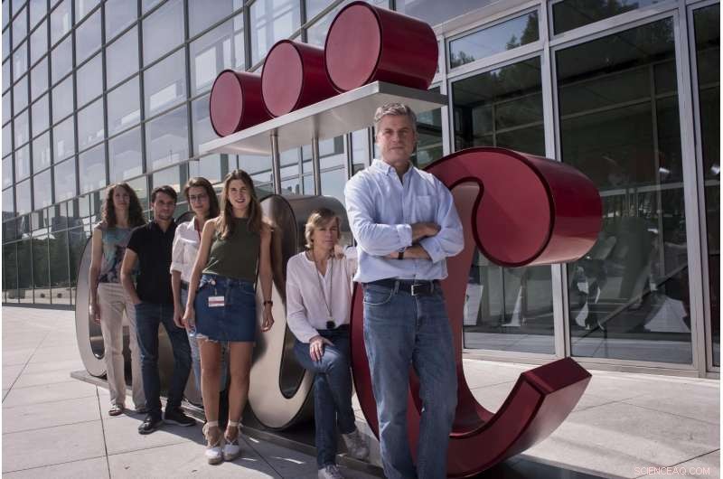 Cellular Communication Ensures Purity of Embryonic Stem Cells