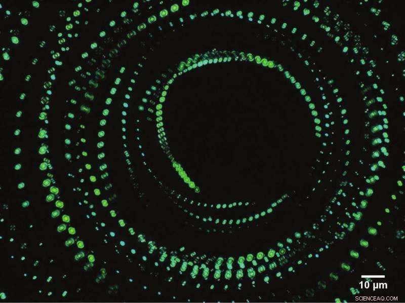 The Intricate Dance of Motor Proteins Inside Every Cell