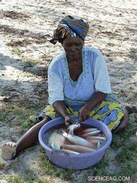 How Gender Roles Shape Fisheries Sustainability in Kenyan Coastal Trade