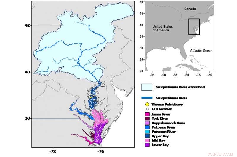 Rising Temperatures Heighten Vibrio Threats to Chesapeake Bay Shellfish and Recreational Activities