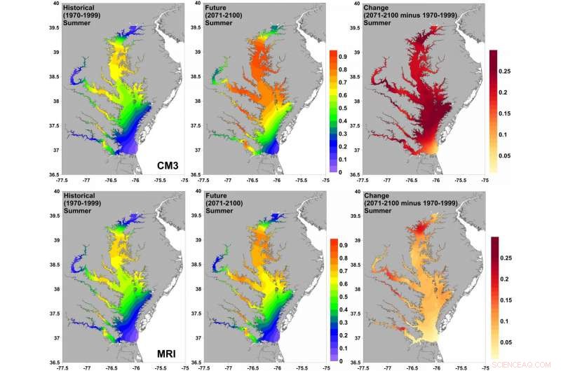 Rising Temperatures Heighten Vibrio Threats to Chesapeake Bay Shellfish and Recreational Activities