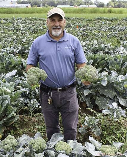 Introducing Heat‑Tolerant Broccoli: The Future of Resilient, Nutritious Crops