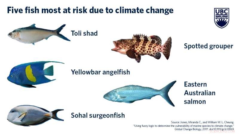 Certain Marine Species Are More Vulnerable to Climate Change