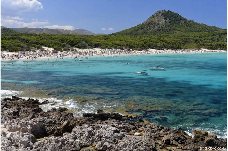 Mediterranean Sea: Unmatched Wealth Facing Rapid Decline