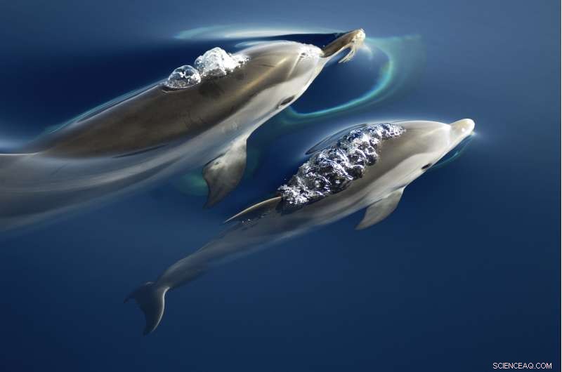 Mediterranean Sea: Unmatched Wealth Facing Rapid Decline