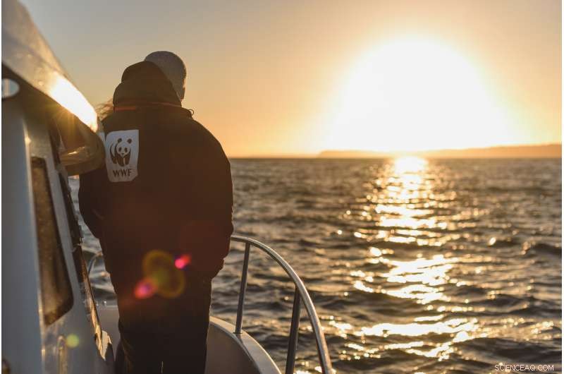 Mediterranean Sea: Unmatched Wealth Facing Rapid Decline