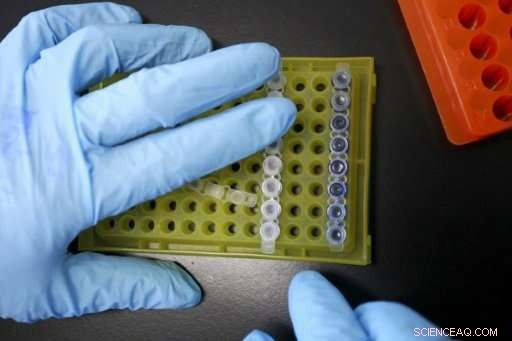 Study Demonstrates New Gene Editor Corrects Disease in Human Embryos