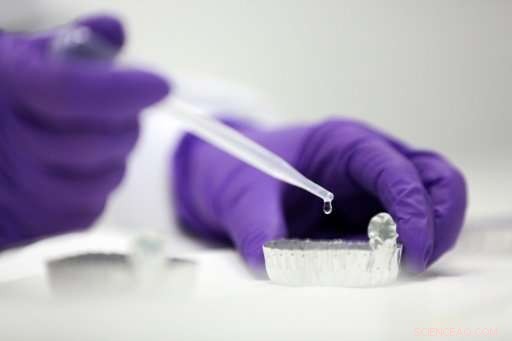 Study Demonstrates New Gene Editor Corrects Disease in Human Embryos