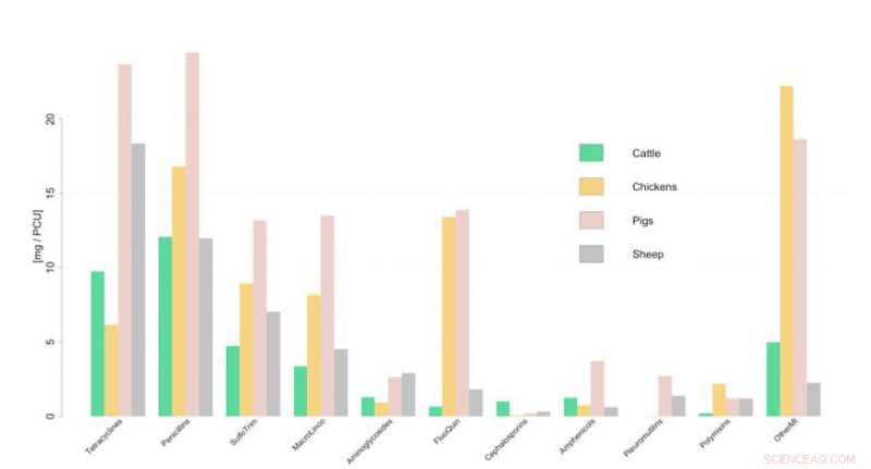Global Strategy Cuts Antibiotic Use in Food Animal Production: New Study Shows Impact