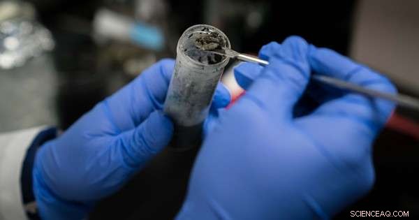 Unveiling Microbial Lifestyles: Their Crucial Role in Earth’s Ecosystems