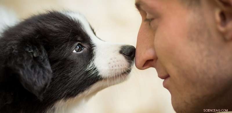 Why Some People Love Animals While Others Don t: A Scientific Perspective