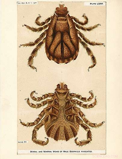 How Genomics Unlocks Innovative Pest Control and Crop Improvement