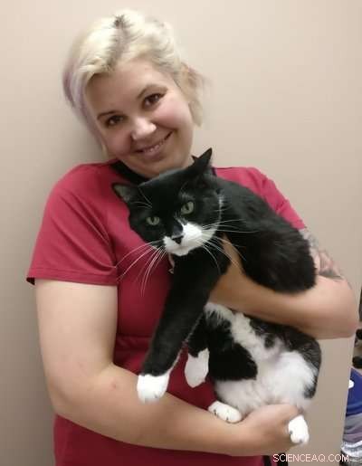 Veterinarians Find Discussing Cat Obesity Challenging – What This Means for Pet Health