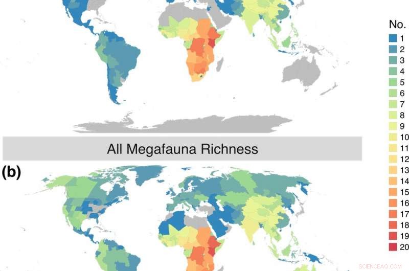 How Feral Camels, Cocaine Hippos, and Other Large Animals Are Reshaping Global Ecosystems