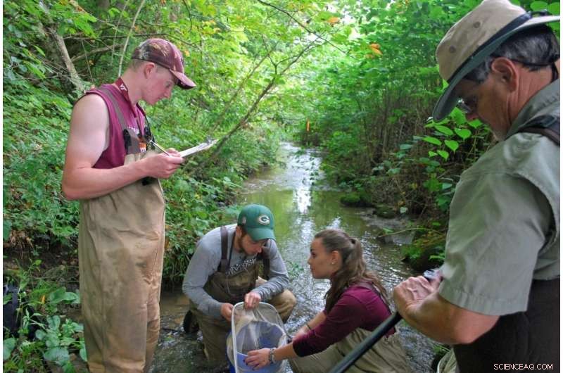 Newly Discovered Fish Species in Southwest Virginia: Study Calls for Immediate Conservation Measures