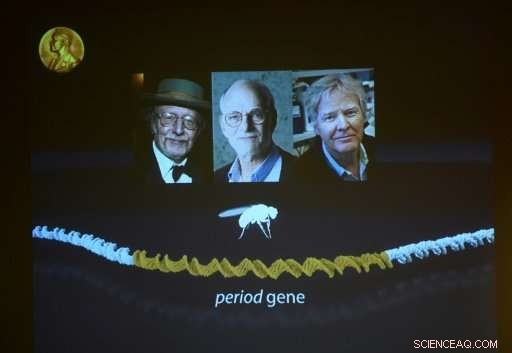 US Circadian Rhythm Scientists Receive 2017 Nobel Prize in Physiology or Medicine