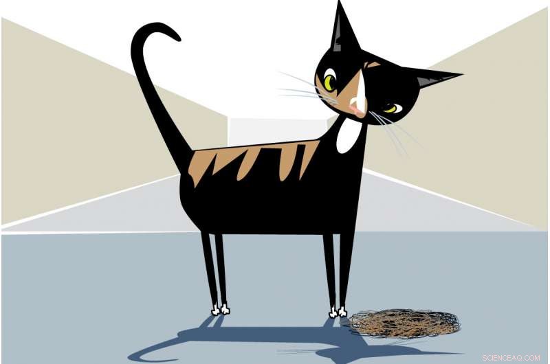 Mitzi’s Fight Against Lymphoma Recurrence and Hairball Complications