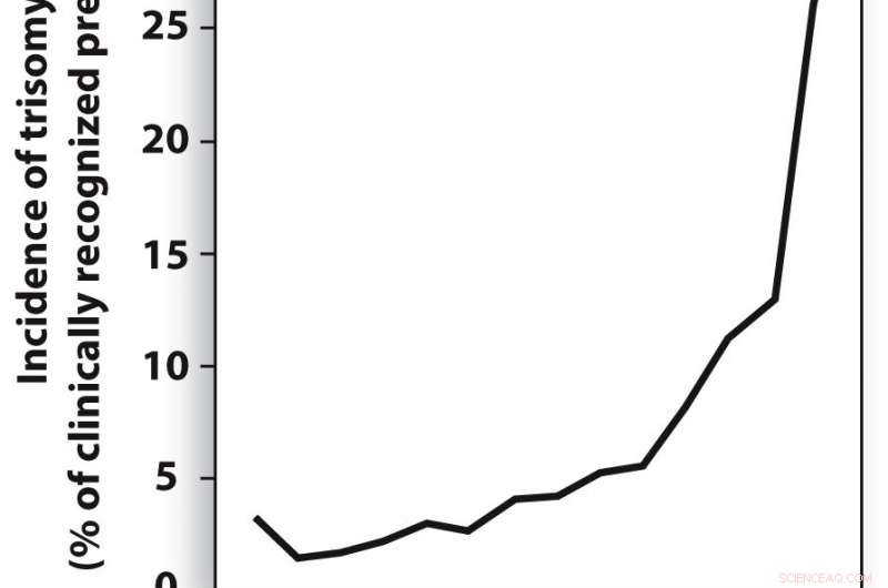 Groundbreaking Study Reveals Key Cause of Miscarriage and Birth Defects