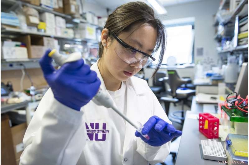 The Critical Role of Set1A Enzyme in Embryonic Development