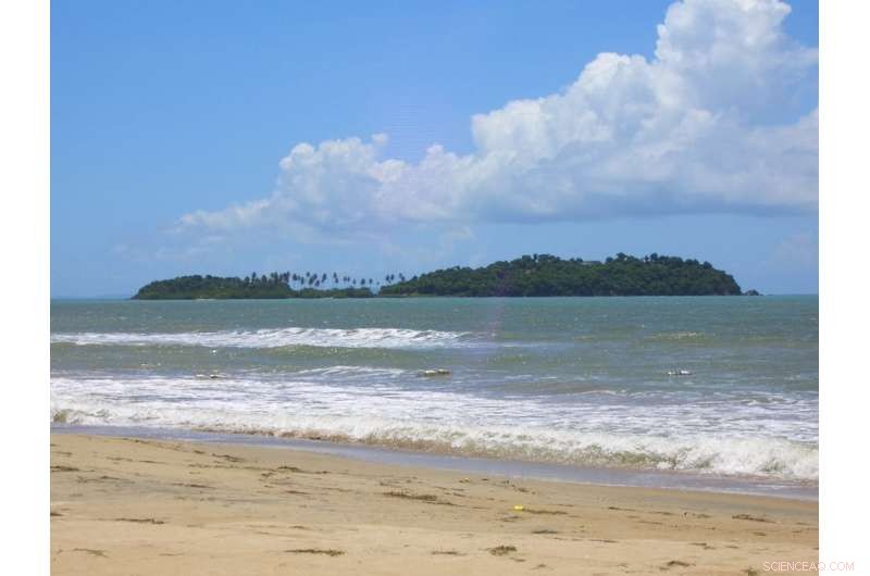 Scientists Collaborate to Protect Puerto Rico’s Monkey Island