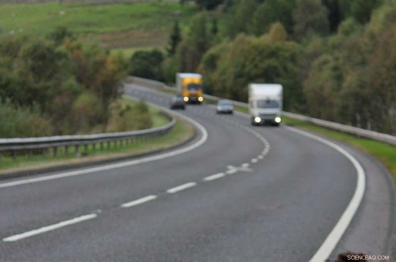 Seasonal Peaks in Pheasant Roadkill: Autumn and Late Winter