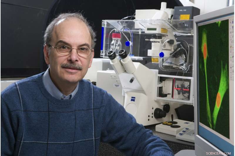 Researchers Simulate Human Biology In Silico to Advance Health Science