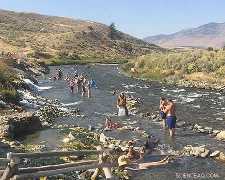 Scientists Track Outbreak of Deadly Brain‑Eating Amoebae