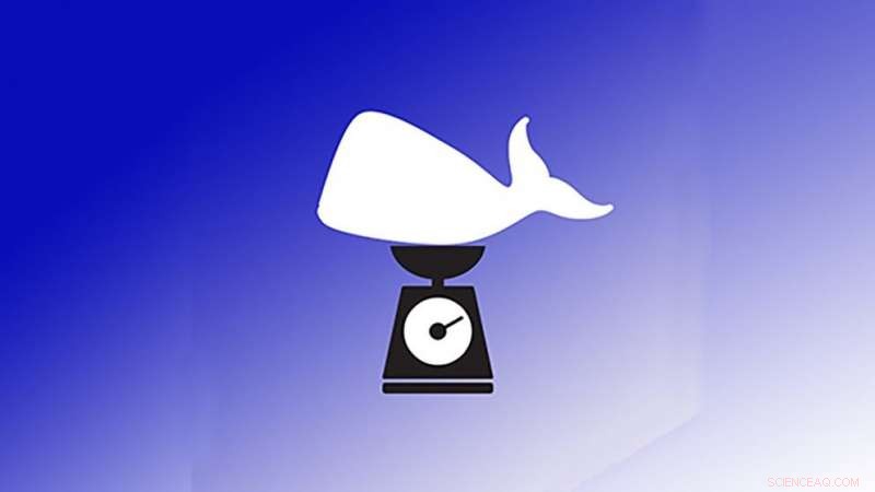 Stranded Cetaceans? Discover the App That Helps Save Them