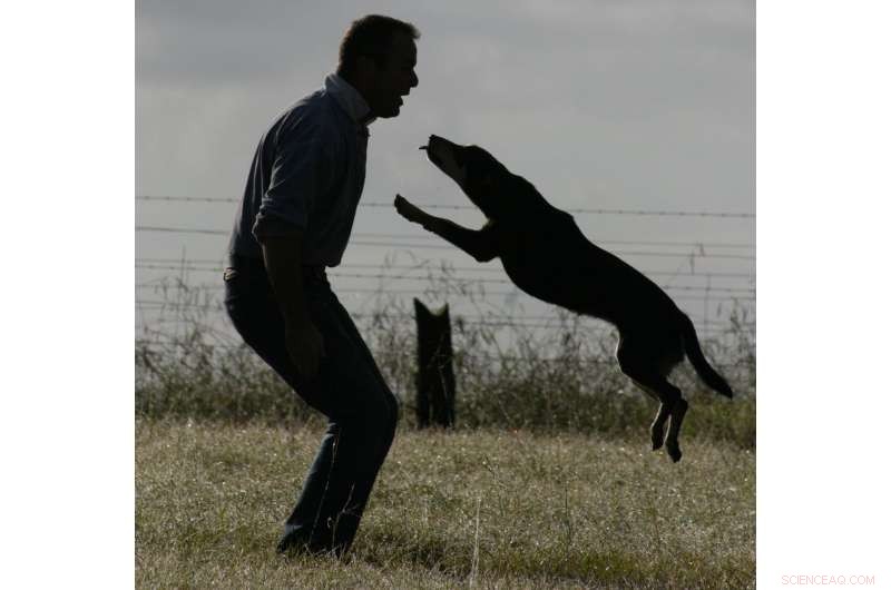 How Gender and Stereotypes Influence Our Bond With Dogs