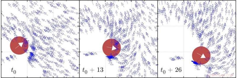 Excessive Social Interaction Impairs Swarm s Collective Response, Study Finds