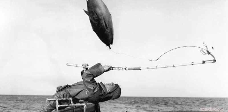 Australia s Ancient Fisheries: Myth vs. Reality