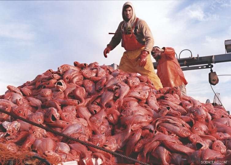 Australia s Ancient Fisheries: Myth vs. Reality