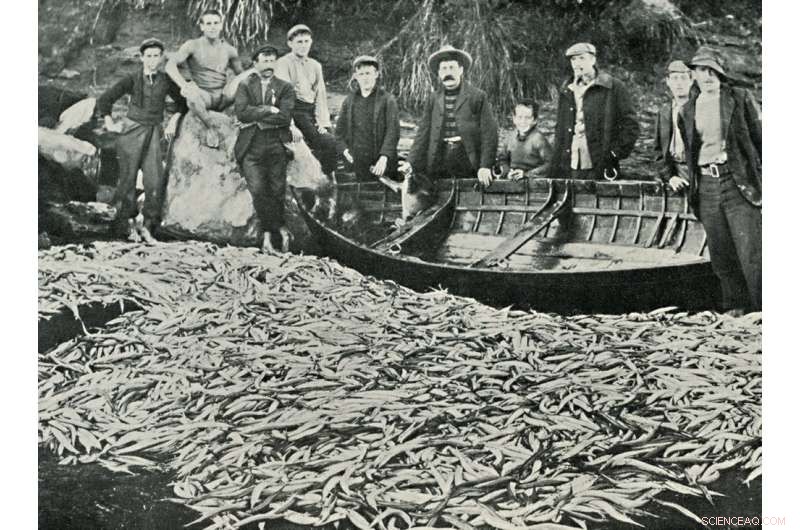 Australia s Ancient Fisheries: Myth vs. Reality