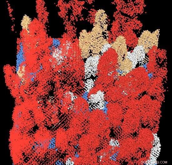 Spotted Owls and Forest Management: A Mutual Benefit via Remote Sensing