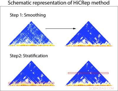 HiCRep: A Robust Statistical Approach to Assess Reproducibility in Genome Organization Studies