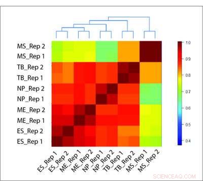 HiCRep: A Robust Statistical Approach to Assess Reproducibility in Genome Organization Studies
