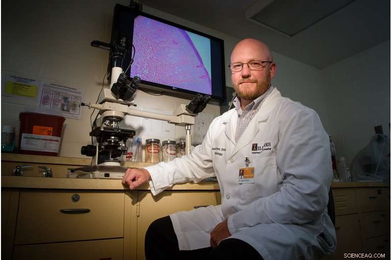 Addressing Antibiotic-Resistant Infections in Pets: What Every Owner Should Know