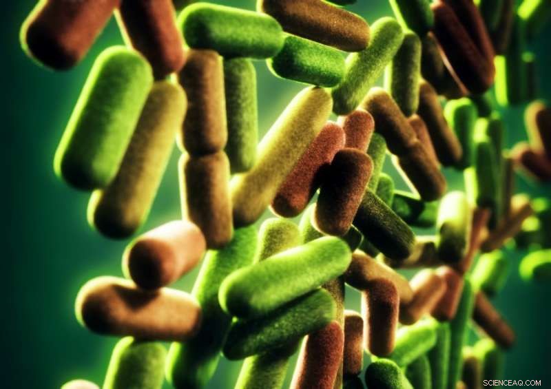 New Study Reassesses Evolutionary Significance of Population Variability