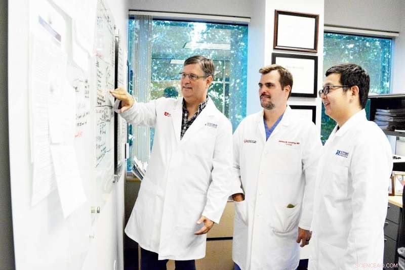 Breakthrough Study Reveals Sperm Stem Cells May Hold Key to Treating Male Infertility and Cancer