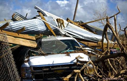 Hurricane Maria Devastates Puerto Rico’s Renowned Monkey Island Research Facility