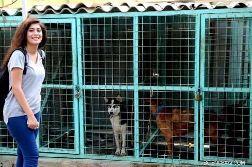 Iraqi Pet Lovers Mobilize Online to Rescue Baghdad s Stray Animals