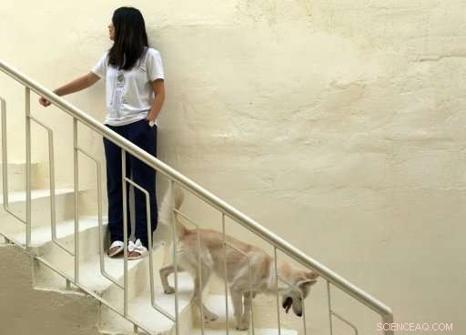 Iraqi Pet Lovers Mobilize Online to Rescue Baghdad s Stray Animals