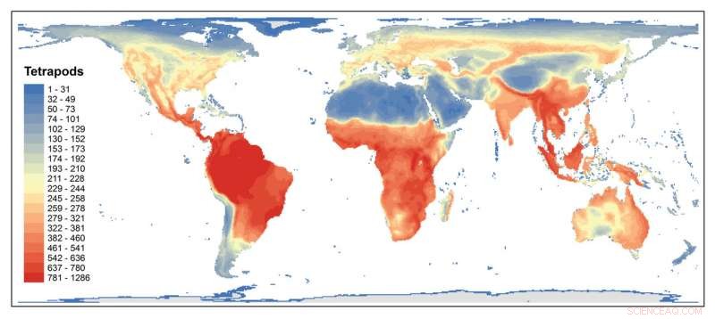 Scientists Resolve Conservation Puzzle, Illuminating Global Biodiversity