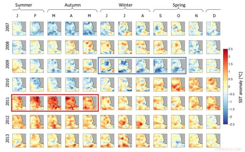 El Niño’s Pacific Warming Affects Western Australian Bottlenose Dolphins