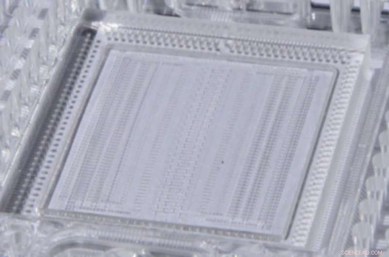 Groundbreaking Microfluidic Technology Uncovers Lab-Inaccessible Microbes